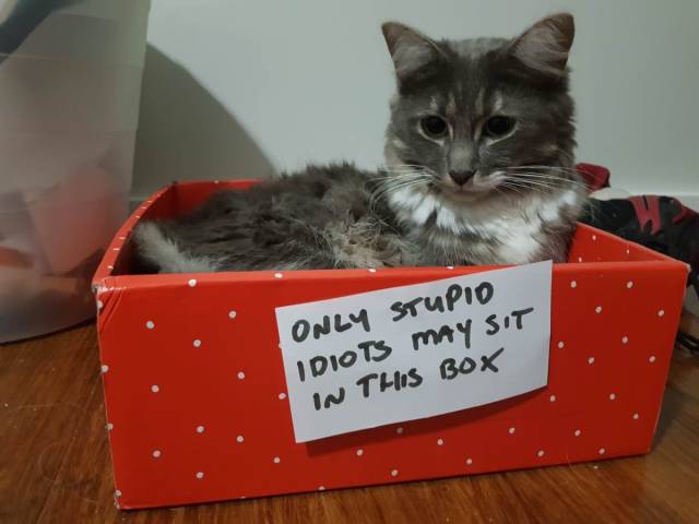 daily picdump 101 pics 2.html - 101 HD Photos | Premium Gallery 2018