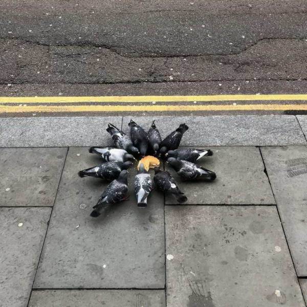 daily picdump 101 pics 2.html - 101 HD Photos | Premium Gallery 2018