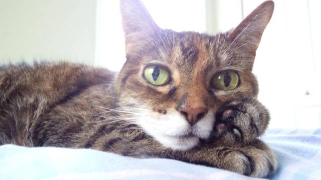 daily picdump 101 pics 2.html - 101 HD Photos | Premium Gallery 2018