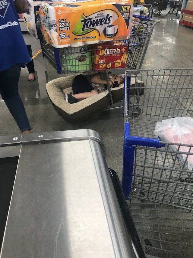 daily picdump 101 pics 2.html - 101 HD Photos | Premium Gallery 2018