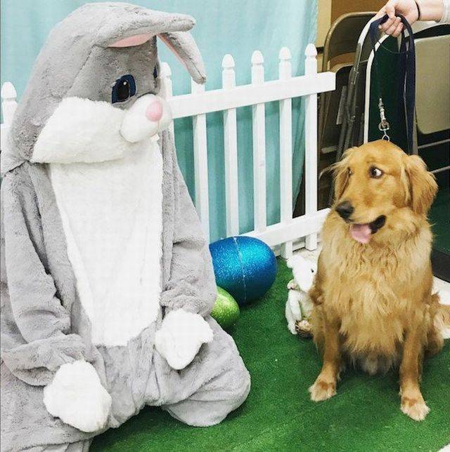 daily picdump 101 pics 2.html - 101 HD Photos | Premium Gallery 2018