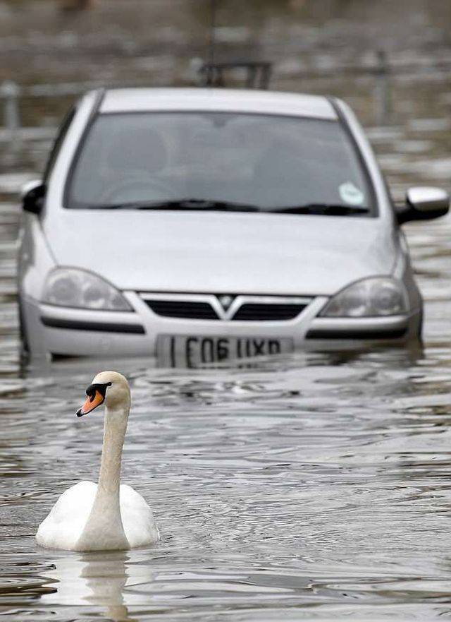 daily picdump 101 pics 2.html - 101 HD Photos | Premium Gallery 2018