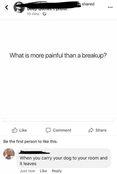 funny picdump 52 pics 16.html - 52 HD Photos | Premium Gallery 2018