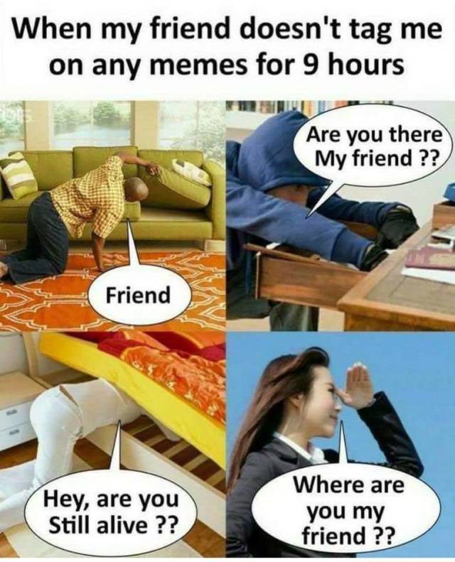 funny picdump 52 pics 16.html - 52 HD Photos | Premium Gallery 2018