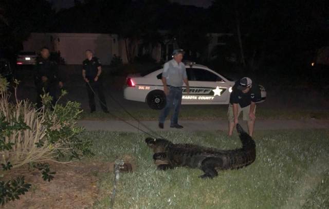 daily picdump 101 pics 41.html - 101 HD Photos | Premium Gallery 2018