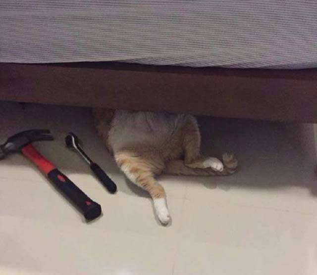 daily picdump 101 pics 41.html - 101 HD Photos | Premium Gallery 2018