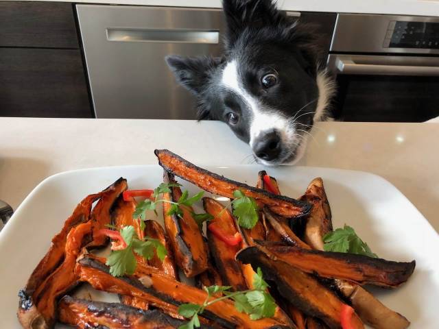 daily picdump 101 pics 41.html - 101 HD Photos | Premium Gallery 2018