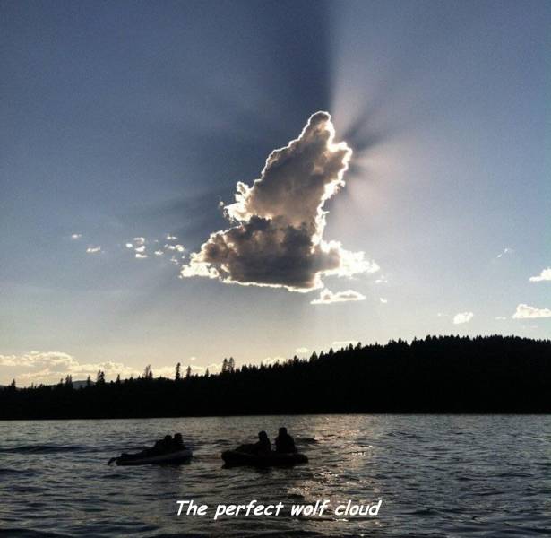 daily picdump 101 pics 41.html - 101 HD Photos | Premium Gallery 2018