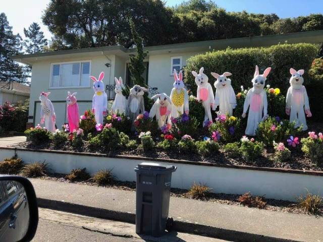 daily picdump 101 pics 41.html - 101 HD Photos | Premium Gallery 2018