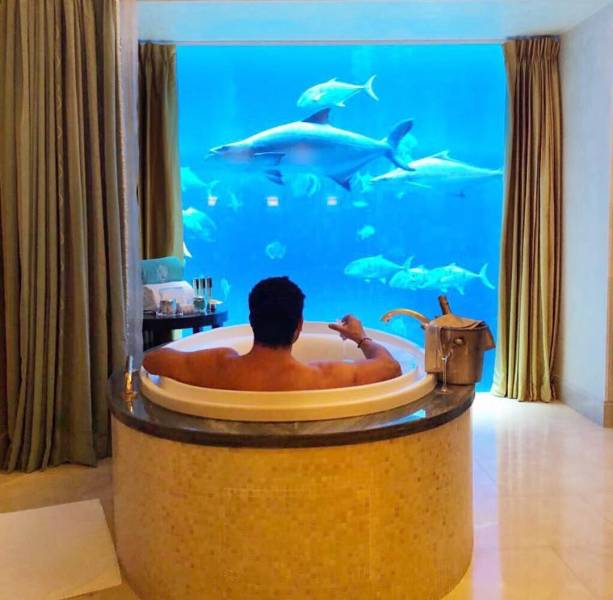 daily picdump 101 pics 41.html - 101 HD Photos | Premium Gallery 2018