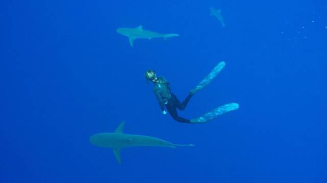 daily picdump 101 pics 41.html - 101 HD Photos | Premium Gallery 2018