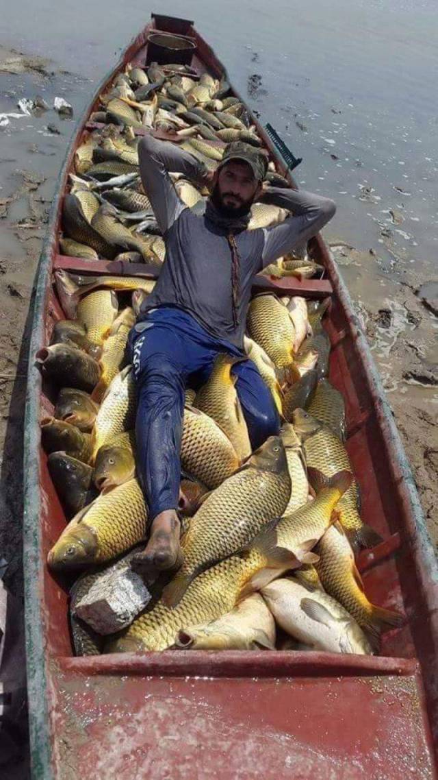 daily picdump 101 pics 41.html - 101 HD Photos | Premium Gallery 2018