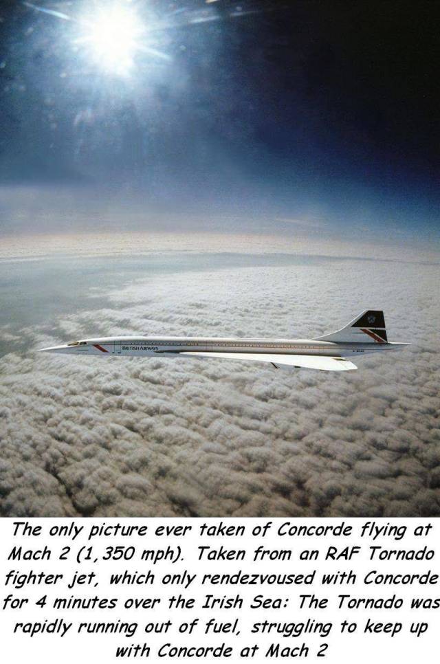 daily picdump 101 pics 41.html - 101 HD Photos | Premium Gallery 2018