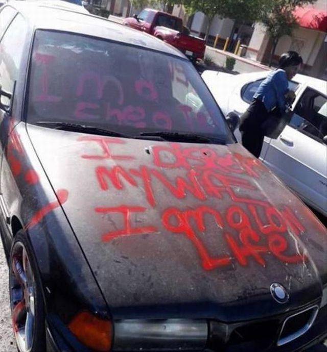 daily picdump 101 pics 41.html - 101 HD Photos | Premium Gallery 2018