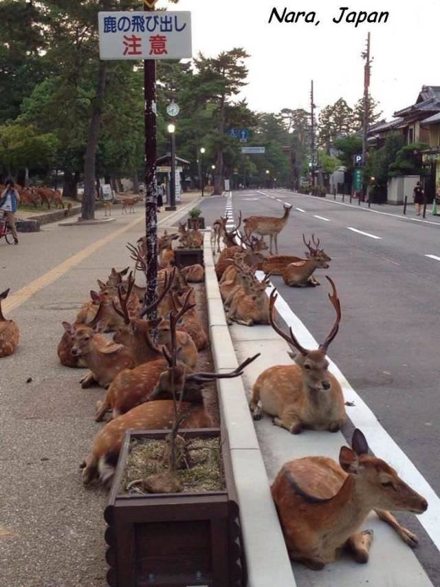 daily picdump 101 pics 41.html - 101 HD Photos | Premium Gallery 2018