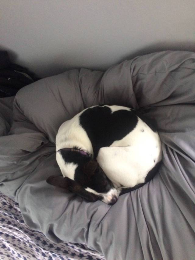 daily picdump 101 pics 41.html - 101 HD Photos | Premium Gallery 2018