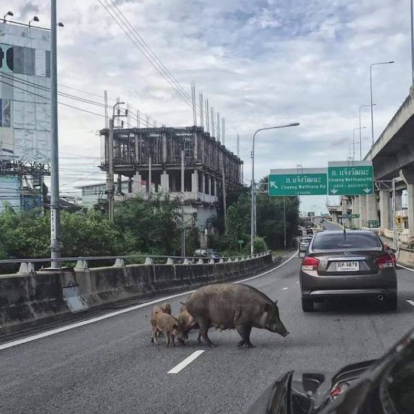 morning picdump 56 pics 15.html - 56 HD Photos | Premium Gallery 2018