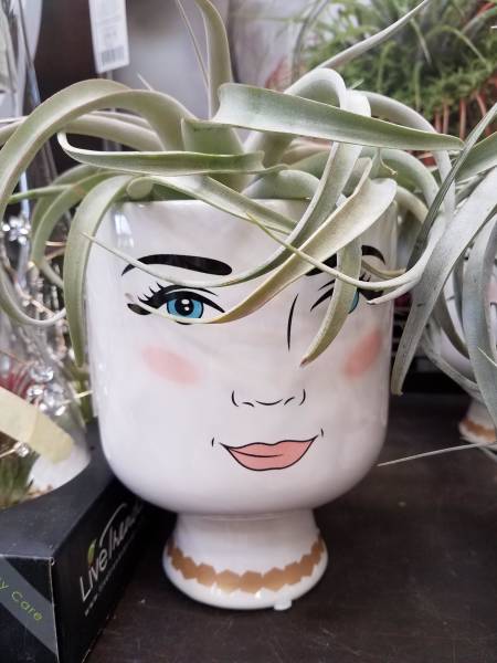 morning picdump 56 pics 15.html - 56 HD Photos | Premium Gallery 2018