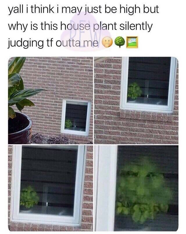 morning picdump 56 pics 15.html - 56 HD Photos | Premium Gallery 2018