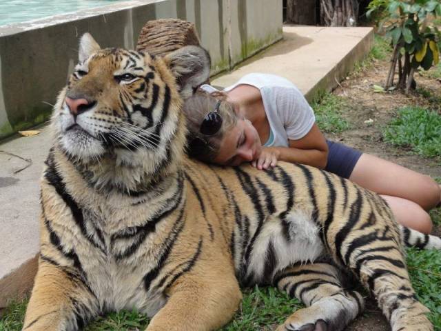Daily Picdump