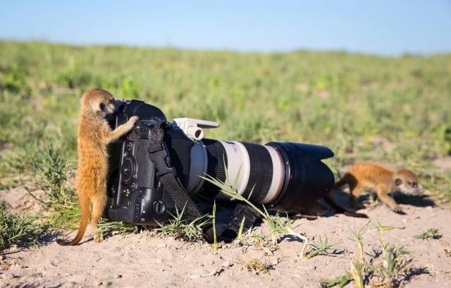Daily Picdump