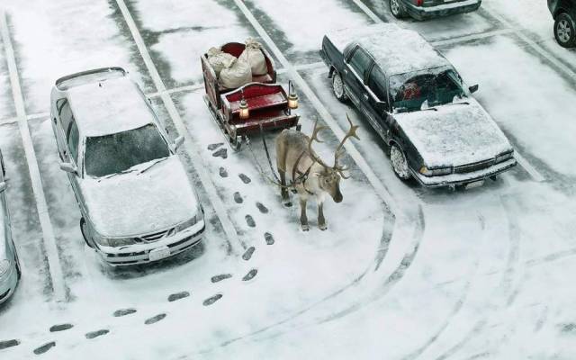 Daily Picdump