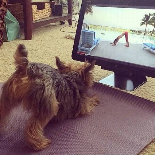 daily picdump 104 pics 21.html - 104 HD Photos | Premium Gallery 2018