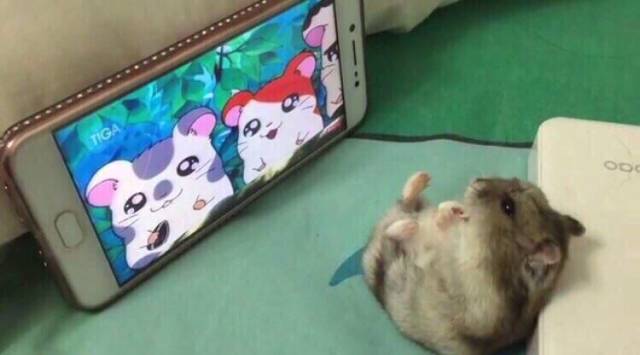 daily picdump 104 pics 21.html - 104 HD Photos | Premium Gallery 2018