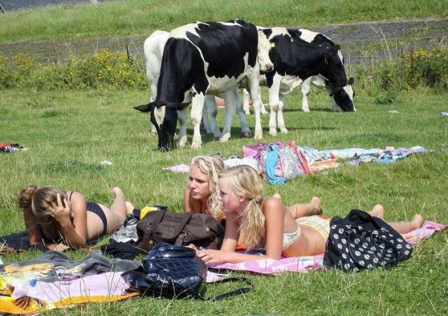 daily picdump 104 pics 21.html - 104 HD Photos | Premium Gallery 2018