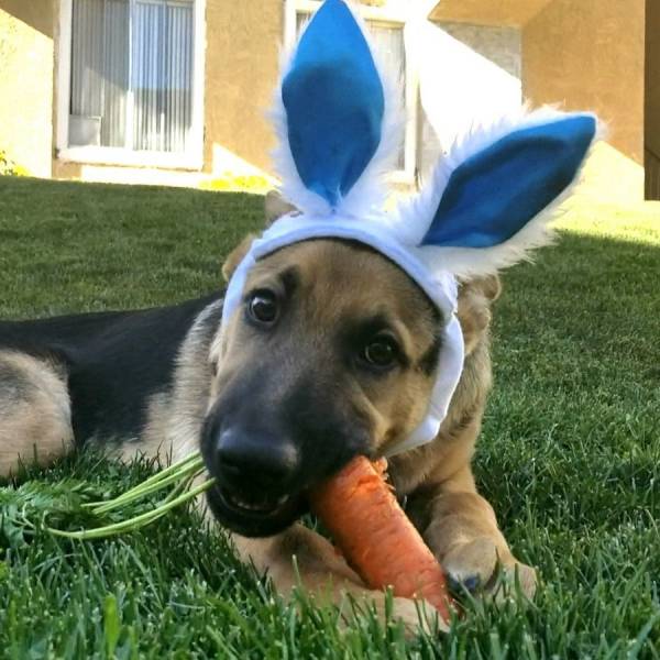 daily picdump 104 pics 21.html - 104 HD Photos | Premium Gallery 2018