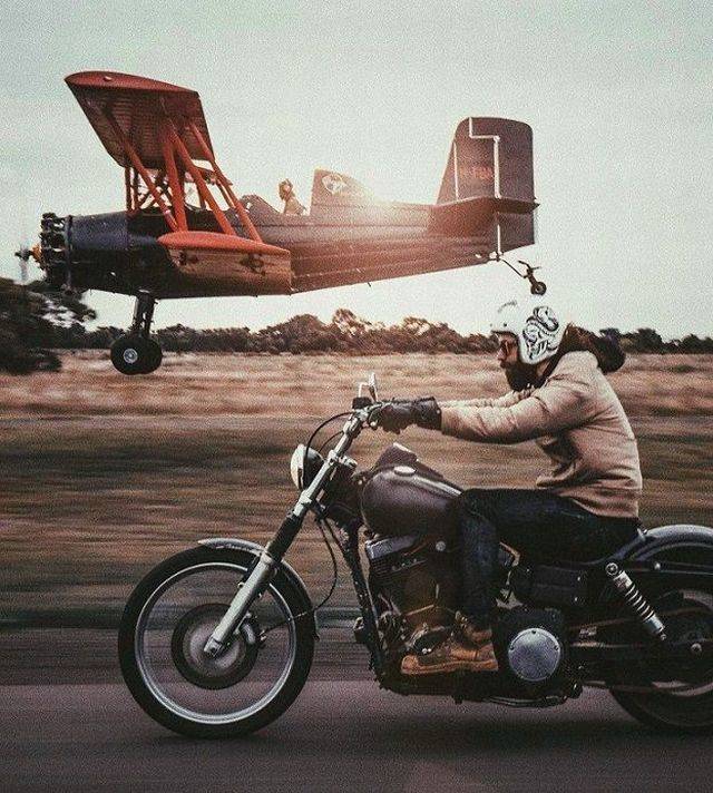 Daily Picdump