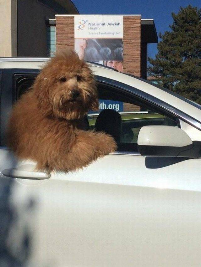 Daily Picdump