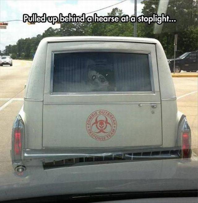 daily picdump 104 pics 21.html - 104 HD Photos | Premium Gallery 2018
