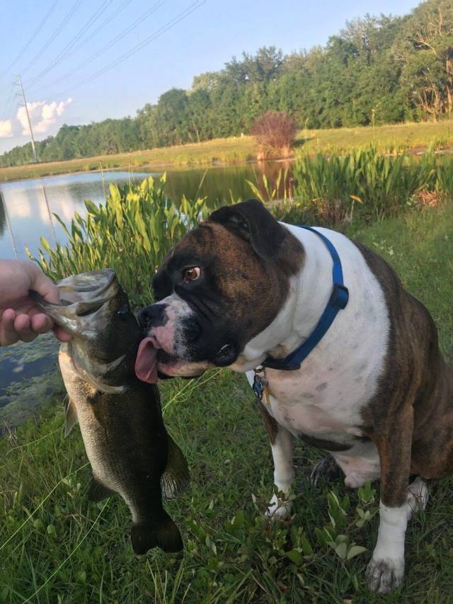 daily picdump 104 pics 21.html - 104 HD Photos | Premium Gallery 2018