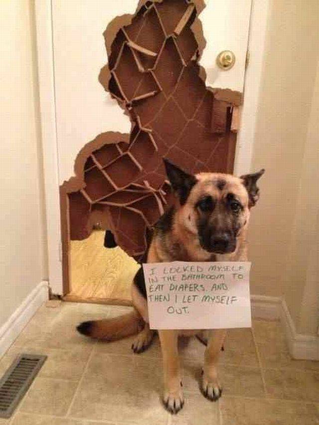 daily picdump 104 pics 21.html - 104 HD Photos | Premium Gallery 2018