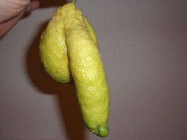 Dirty Mind, Come Here!