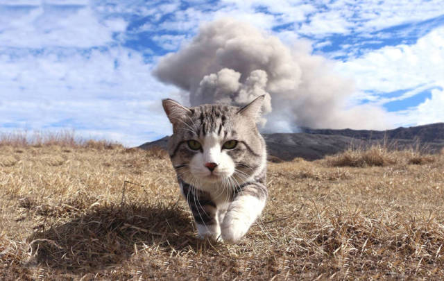 morning picdump 51 pics 2.html - 51 HD Photos | Premium Gallery 2018