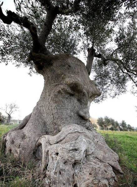 morning picdump 51 pics 2.html - 51 HD Photos | Premium Gallery 2018