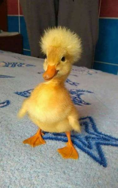 morning picdump 51 pics 2.html - 51 HD Photos | Premium Gallery 2018
