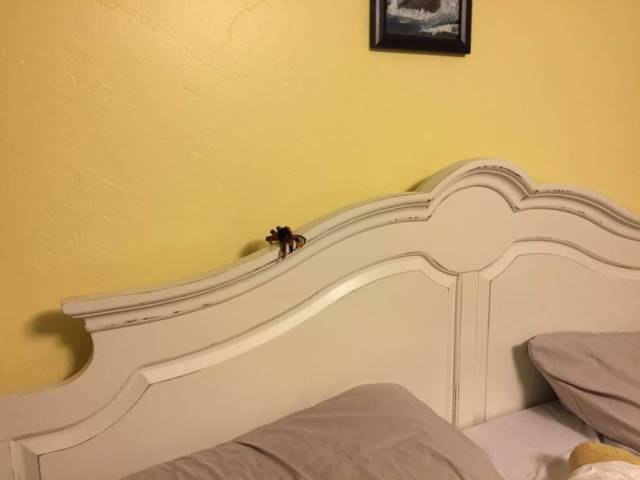 daily picdump 101 pics 2.html - 101 HD Photos | Premium Gallery 2018