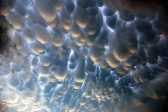 daily picdump 101 pics 2.html - 101 HD Photos | Premium Gallery 2018