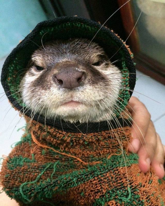 daily picdump 101 pics 2.html - 101 HD Photos | Premium Gallery 2018