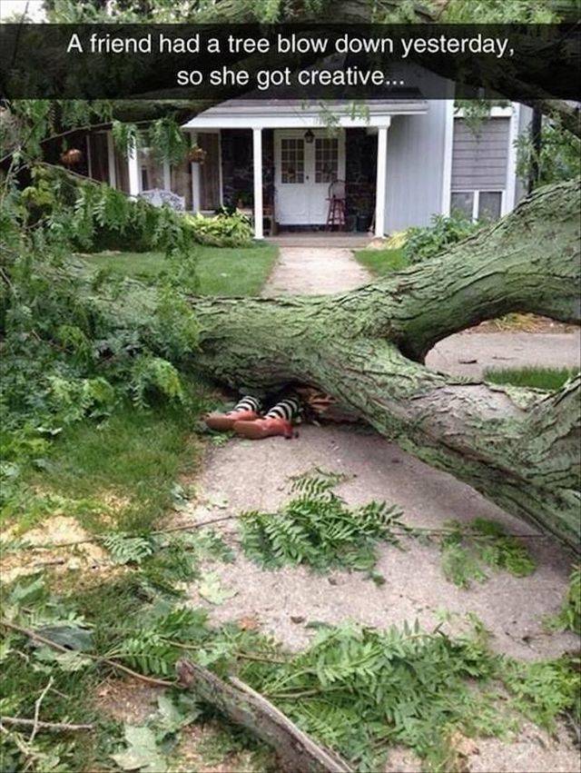 daily picdump 101 pics 2.html - 101 HD Photos | Premium Gallery 2018