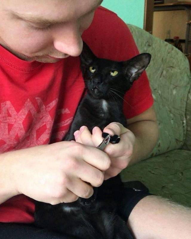 daily picdump 101 pics 2.html - 101 HD Photos | Premium Gallery 2018