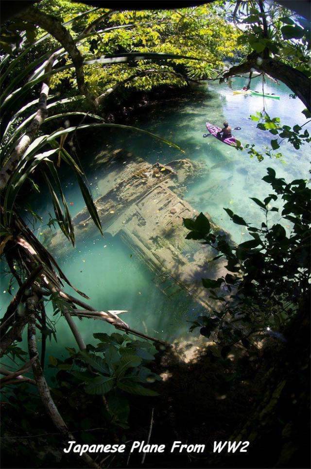 daily picdump 101 pics 2.html - 101 HD Photos | Premium Gallery 2018