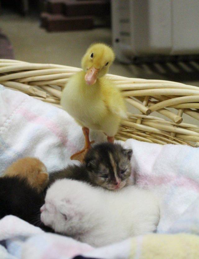 daily picdump 101 pics 2.html - 101 HD Photos | Premium Gallery 2018