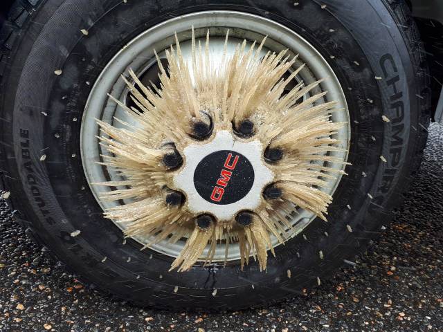 morning picdump 50 pics 5.html - 50 HD Photos | Premium Gallery 2018