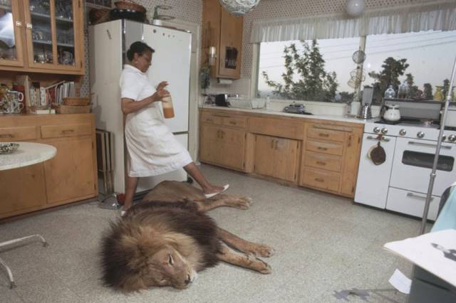 morning picdump 50 pics 5.html - 50 HD Photos | Premium Gallery 2018