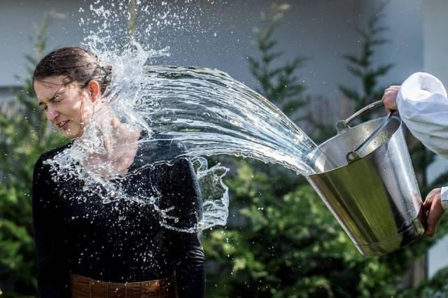 daily picdump 95 pics 2.html - 95 HD Photos | Premium Gallery 2018