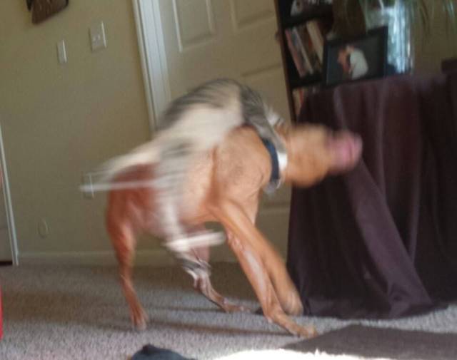 daily picdump 95 pics 2.html - 95 HD Photos | Premium Gallery 2018